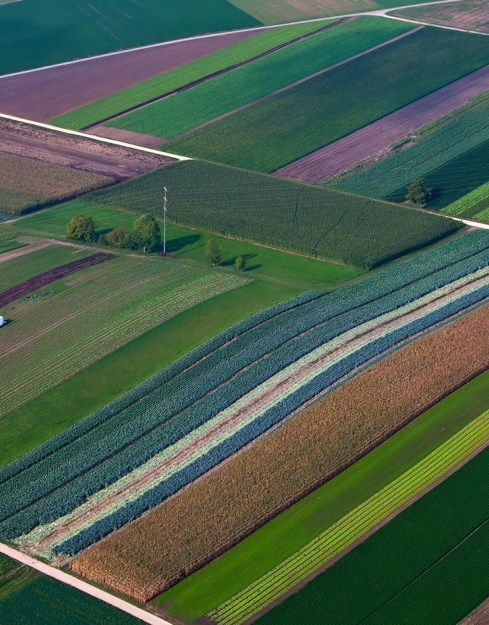 fields image